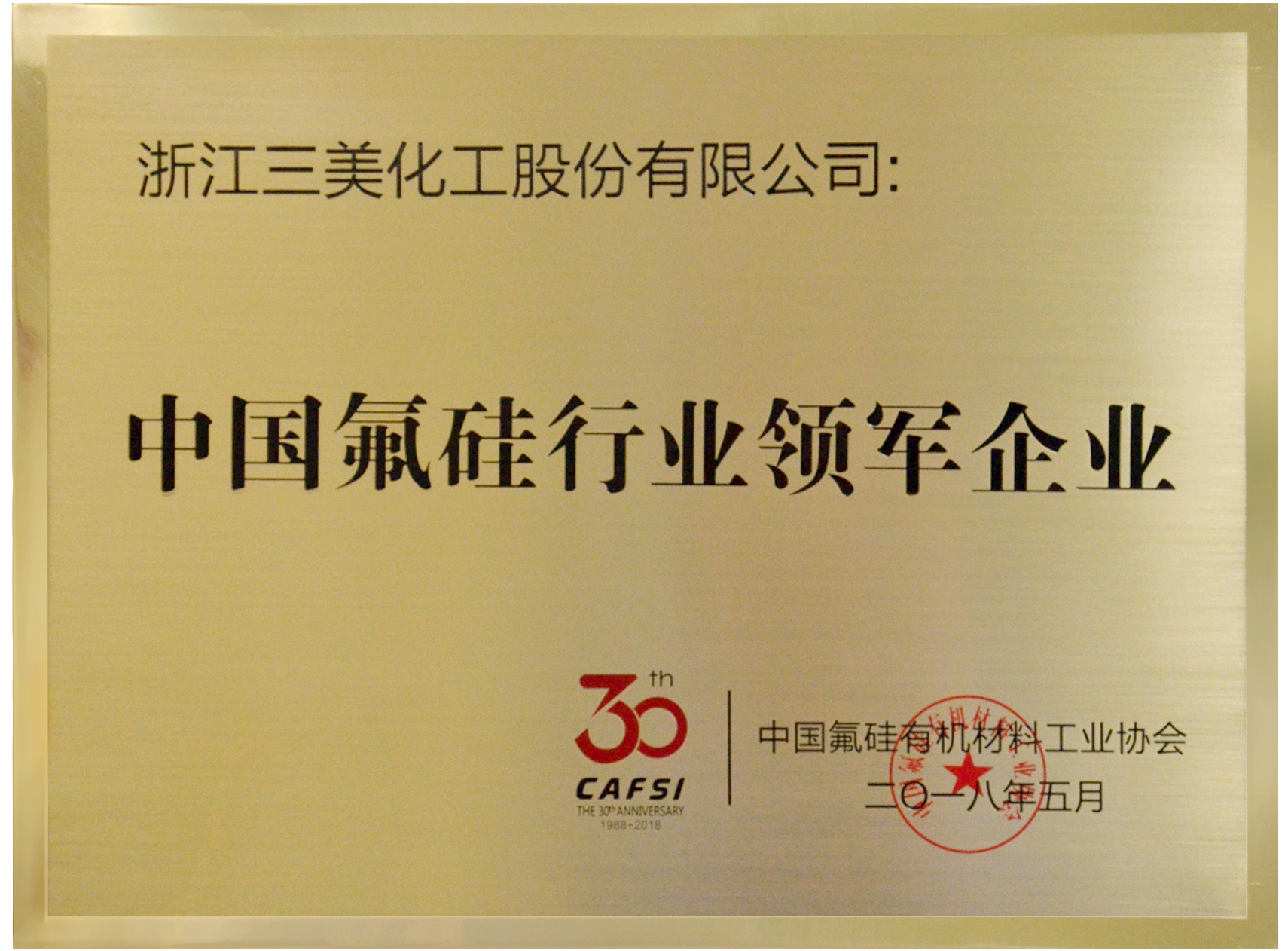 leading enterprise in china's fluorosilicone industry